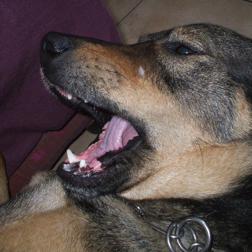 houze_stephane's profile picture. Généalogiste amateur. Amoureux de l'Avesnois et de son histoire, je collectionne les ancêtres. La lecture d'ouvrage d'archéologie et d'histoire sont mon dada.