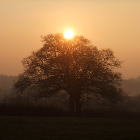 Pears_8's profile picture. 