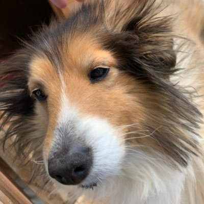 nttdokodaka1's profile picture. 