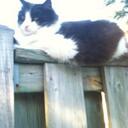 Jesse Rideout - @eloquite - Twitter