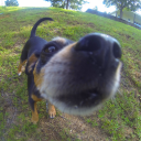 Dan Trevino - @texican1965 - Twitter