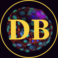 Developmental Biology(@Dev_Bio_Journal) 's Twitter Profile Photo