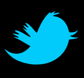 Follow my main account here: @jaz