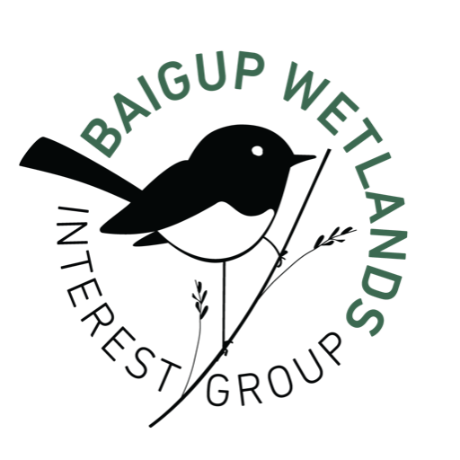 Baigup Wetlands Interest Group is a community group dedicated to the care and restoration of Baigup; part of Bush Forever Site No. 313.