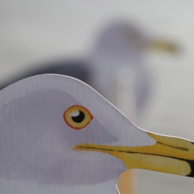 matamata_REACTO's profile picture. 家電製品の販売をずいぶん長いことやってます。写真や山登りが趣味ですが、いまハマってるのがロードバイク！！爽快感がいいですよねー