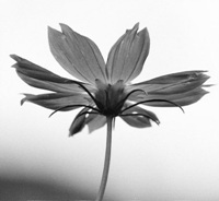 triode845's profile picture. working on fluid mech., energy system, and sofrware development.
hobby: cameras & photo, audio DIY, baseball..