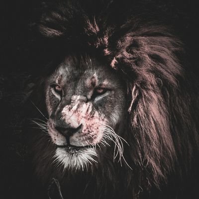 Blackgroup77's profile picture. Providing info essential to financial independence & investments for wealth building. We're also avid currency investors!