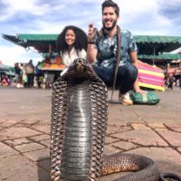 Joe Santucci (@jjsantucci) 's Twitter Profile