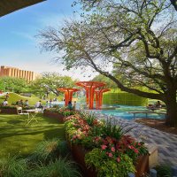 Levy Park (@levyparkhouston) 's Twitter Profile
