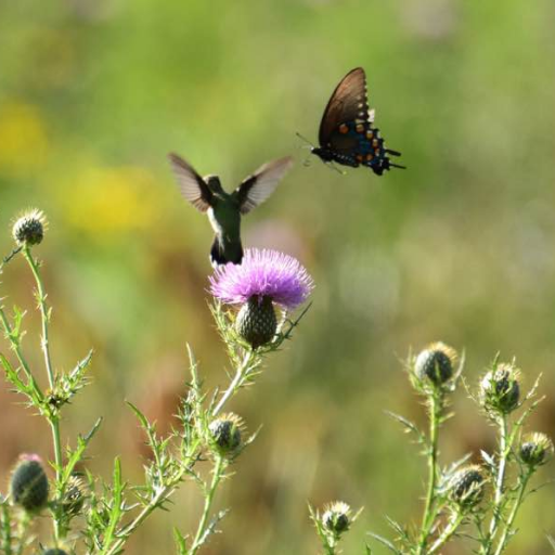 29jasmine's profile picture. I gotta see the candy first. Then I get in the van. I'm not stupid.