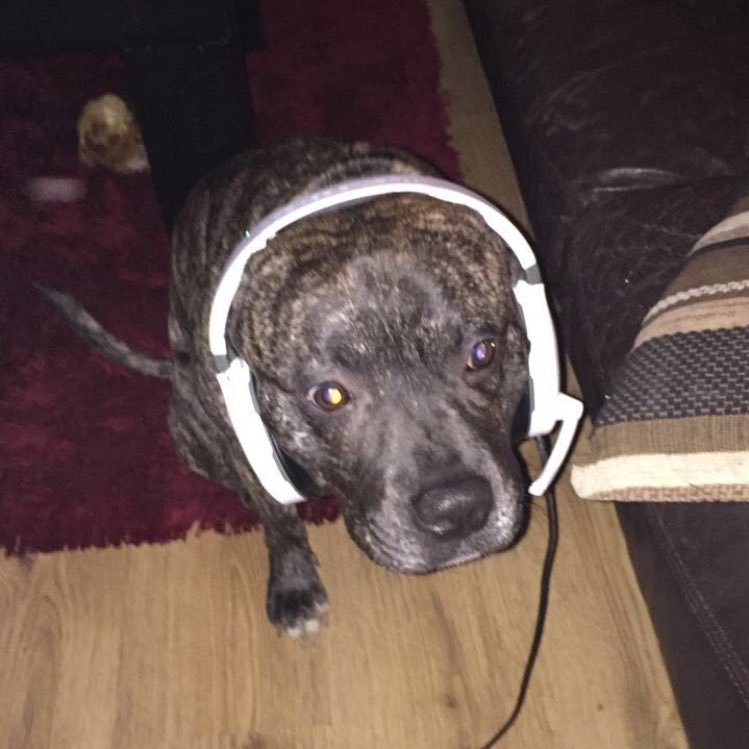 CAPlTA0's profile picture. 