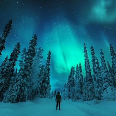 dcuriousmind's profile picture. Curious about everything !!!