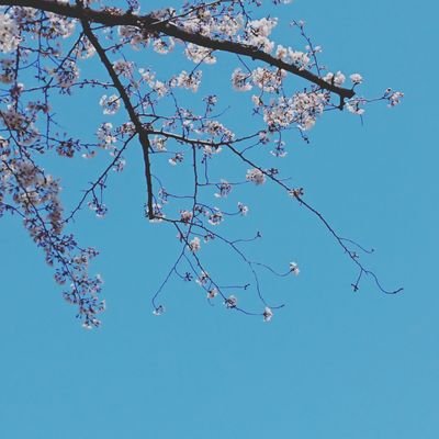 ちなむさんのプロフィール画像
