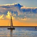 Alexander Bang - @Alexanderbang - Twitter