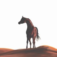 -عبدالمحسن (@ab2017_d) Twitter profile photo