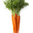 Daily Carrots