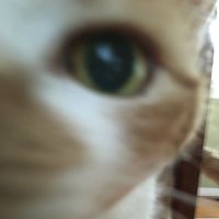 david ulsch (@ulschdavid) 's Twitter Profile Photo david ulsch (@ulschdavid) 's Twitter Profile Photo