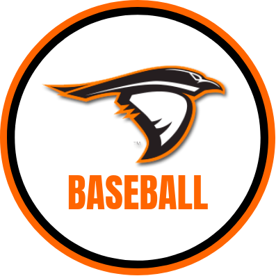 AURavensBSB Profile Picture