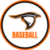 AU Ravens Baseball (@auravensbsb) Twitter profile photo AU Ravens Baseball (@auravensbsb) Twitter profile photo