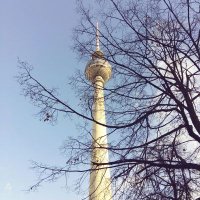 SusiSorglos (@sunshine_1983) 's Twitter Profile Photo