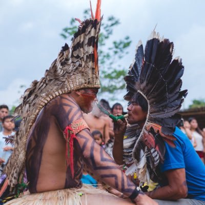 soudafloresta's profile picture. "Nós somos #PovosdaFloresta. Somos pessoas, animais e árvores convivendo na maior biodiversidade do planeta... Elson Martins”