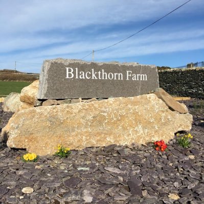 Blackthorn Farm is a B&B, camping and touring site on Anglesey. Set in 18 acres with stunning views of the Irish Sea, Snowdonia and Anglesey.