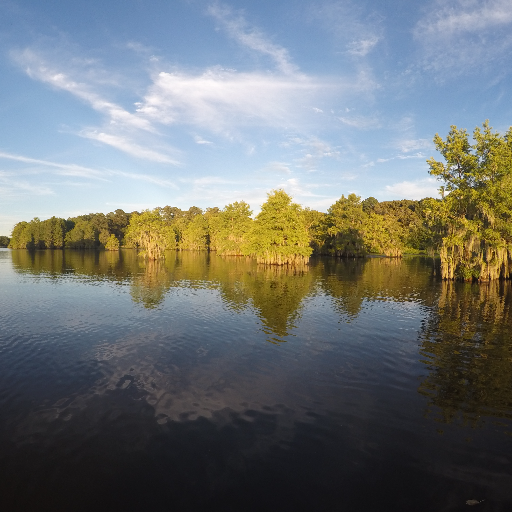 DannyMahaffey3's profile picture. Love the outdoors