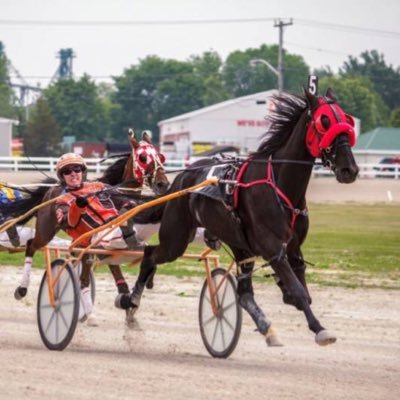 * One of the FASTEST 1/2 Mile Harness Tracks in Canada!
* Come For The Excitement, Stay For The Experience!
* Located in Dresden Ontario.