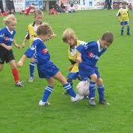 im the coach of football i need to help palyers ans coachs to make same ways to be more professionel!!!