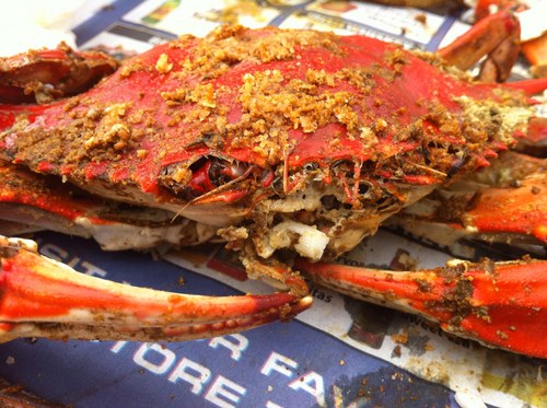 taylorsailor's profile picture. 