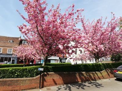 Live in Hertfordshire with my wife & kids. Work in London, ex Conservative voter new Lib Dem member. Concerned for the future. Drink quite a lot of coffee ☕