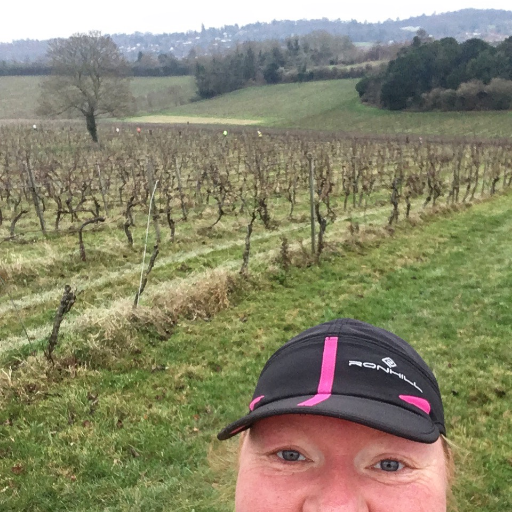 GirlWhoTris's profile picture. I'm a girl, I do tri's, I'm a tri girl or a girl who tri's. Paleo advocate. Follow my blog at http://t.co/GckvtSF9Fx