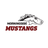 MsideMustangs