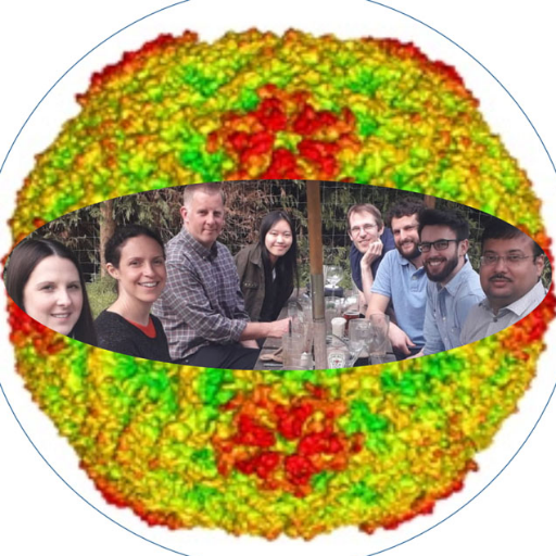 Virus research in the Picornavirus Molecular Biology group led by Toby Tuthill at The Pirbright Institute.