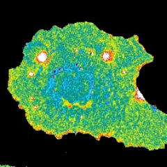 Hi everyone. New to Twitter, high enthusiasm. Posts from any and all lab members... We study signaling & develop molecular imaging tools. Science is beautiful!