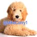 Mike Conry (@mikeconry1) Twitter profile photo Mike Conry (@mikeconry1) Twitter profile photo