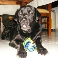 Jose Wilde Cisneros (@cisneroswilde) 's Twitter Profile