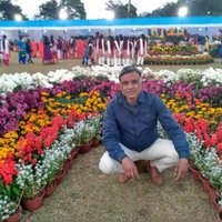 SATYENDRASHEKHAROJHA (@ssojhawmc) 's Twitter Profile
