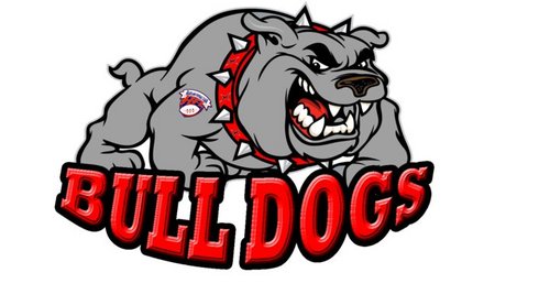 The Northern Kentucky Bull Dogs is a semi-pro football team that is a member of the Heartland Football League.