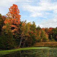 Koffler Scientific Reserve at Jokers Hill (@ksr_jokershill) 's Twitter Profile