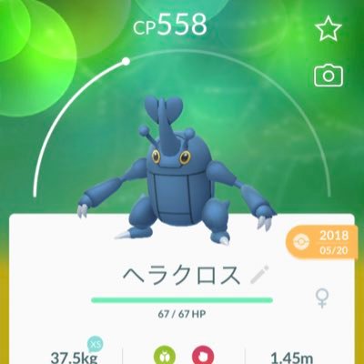 まもポケモンgo交換 交換希望 立川 八王子でお願いします 18年5月末に捕まえました 出 ヘラクロス 求 ジーランス コータス パチリス マスキッパ ポケモンgo ポケモンgo交換