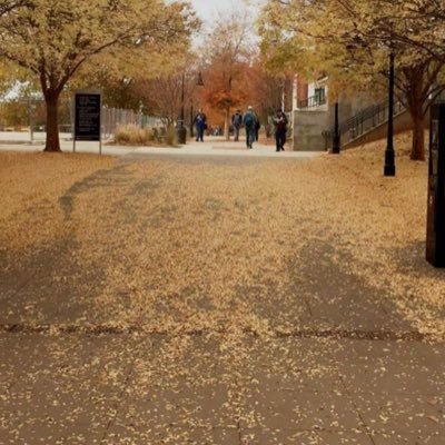 alamri_0505's profile picture. 