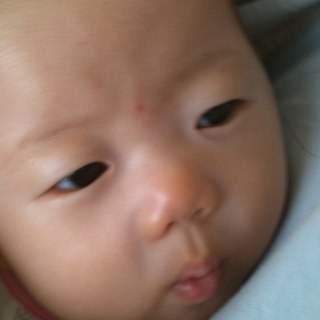 Man sik, Lim Profile