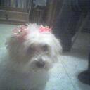 Clara - @clara_link - Twitter