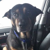 Chris Ferreira (@sendchris) 's Twitter Profile