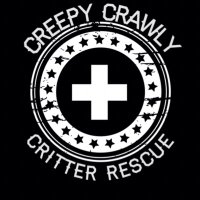 John Livesay - @cccritterrescue Twitter Profile Photo