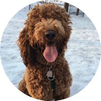 Tacob Jaber (@jacobtaber) 's Twitter Profile