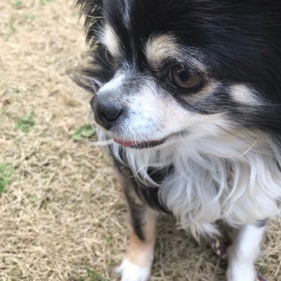 PzCVApRldlhe5qb's profile picture. 野洲北→膳所→京大