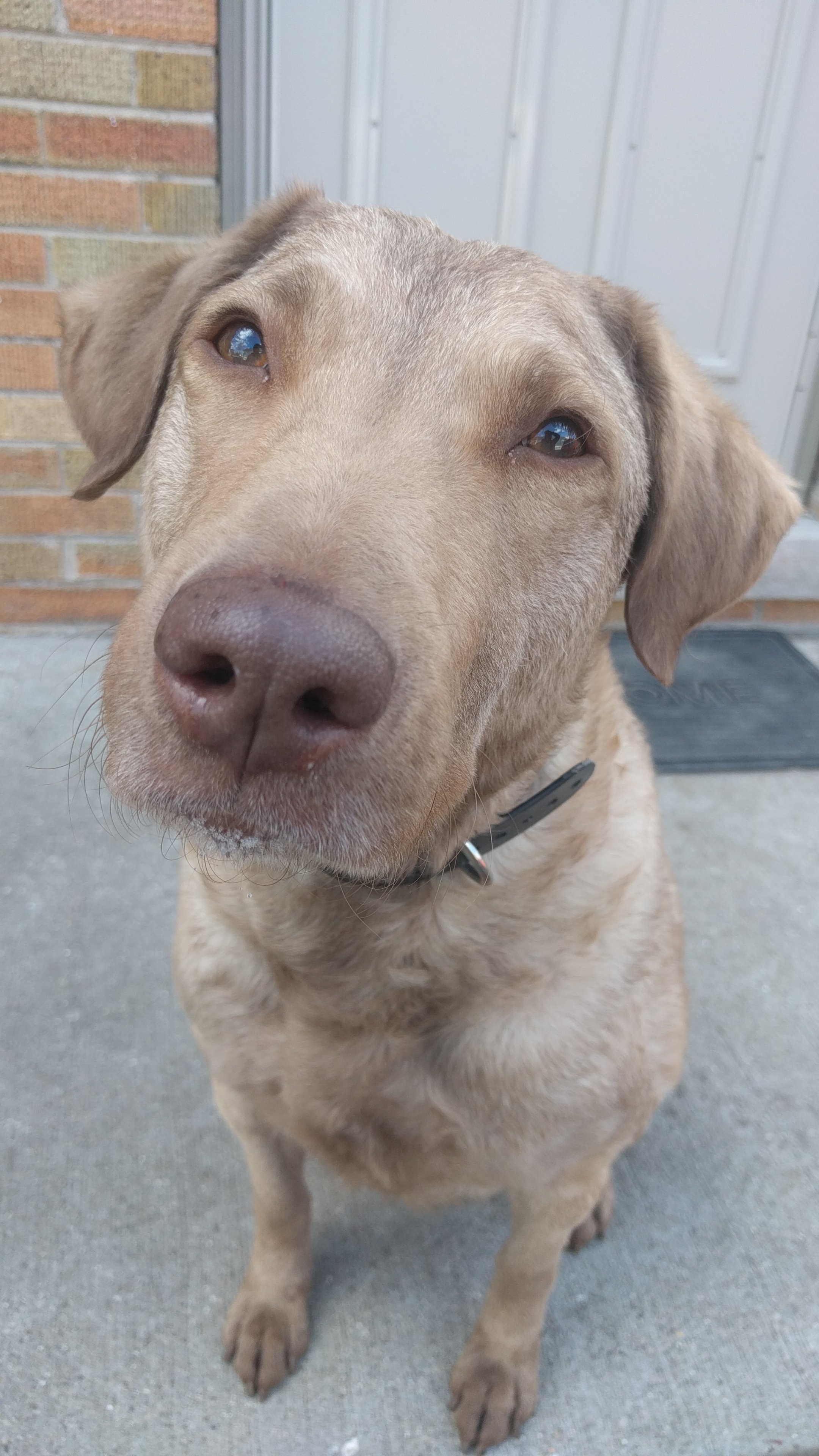 nionio6915's profile picture. Professional Engineer, amateur machinist, above average cook, lousy dog trainer