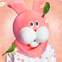 momoirone_EN (@gendaikkozukan) 's Twitter Profile